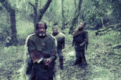 Vikings (Viking: The Darkest Day)